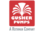 Торцеві для насоса Gusher Pumps
