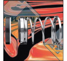 Торцевое уплотнение V3 0095.10